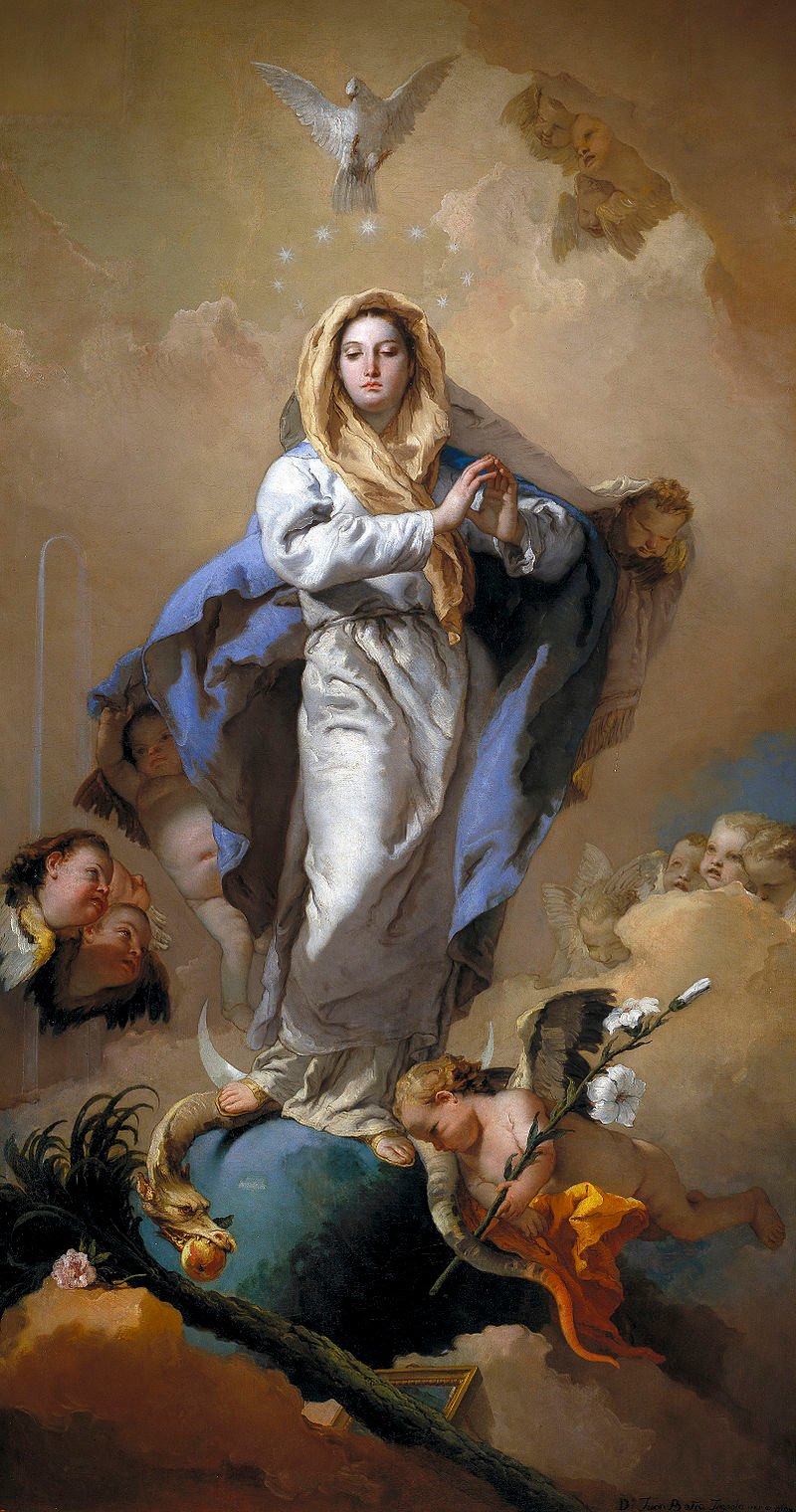 The Profound Revelation of Mary’s Immaculate Conception: Insights from Saints Unveiled