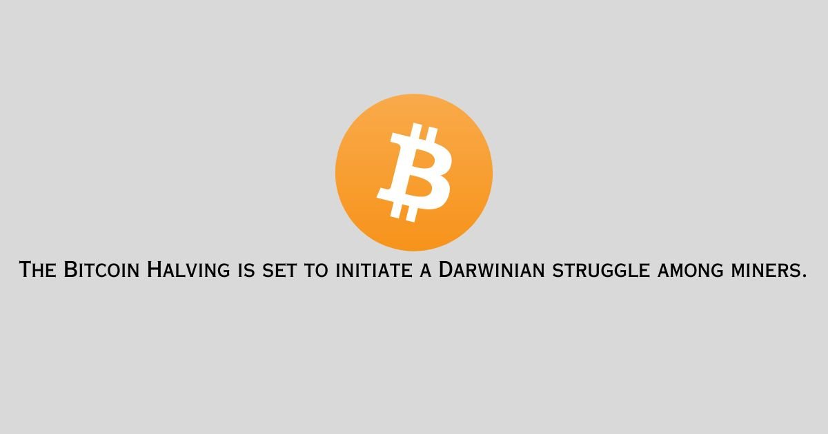 The Bitcoin Halving is set to initiate a Darwinian struggle among miners.